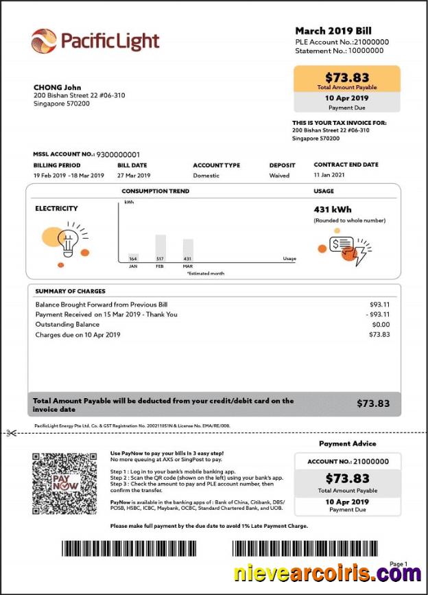 Singapore Pacific Light electricity utility bill